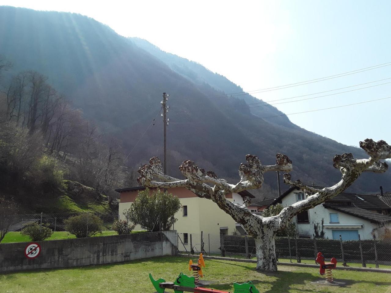 Holidays Homes Il Folletto Quartino Zewnętrze zdjęcie